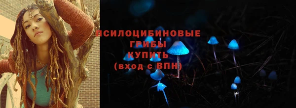 гидра Абдулино