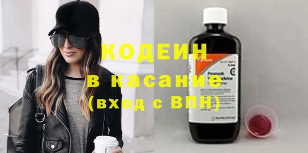 индика Абаза