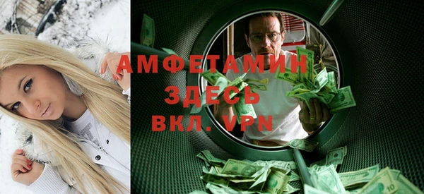 индика Абаза