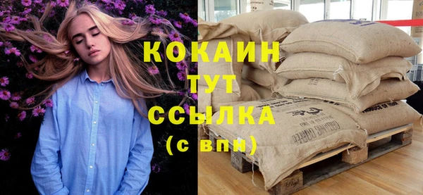 индика Абаза