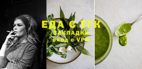 индика Абаза