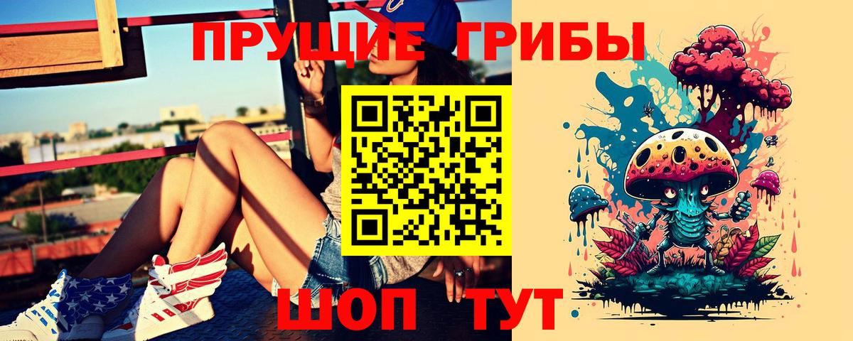 Чебоксары  Псилоцибиновые грибы прущие грибы  Вход с VPN 